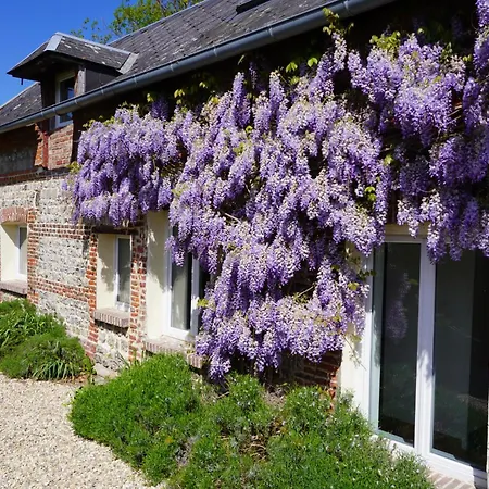 La Glycine Maison 1.5 Km Veulettes Sur