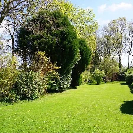 La Glycine Maison 1.5 Km Veulettes Sur Σπίτι διακοπών Paluel